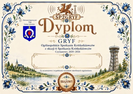 Dyplom brązowy